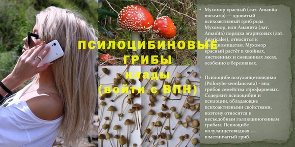 спайс Абинск