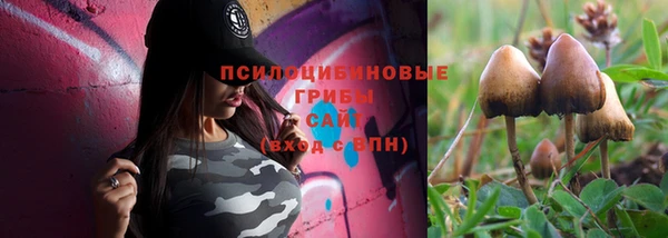 спайс Абинск
