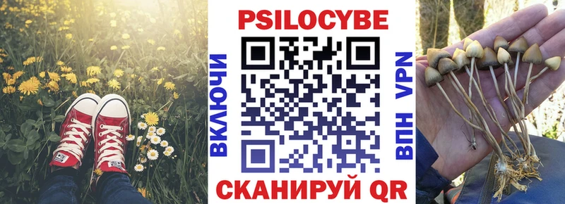 Псилоцибиновые грибы MAGIC MUSHROOMS  купить   Белая Калитва 