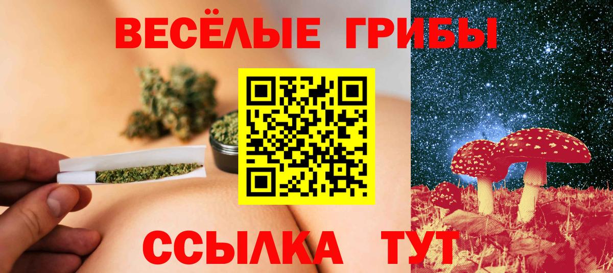 Псилоцибиновые грибы GOLDEN TEACHER Белая Калитва