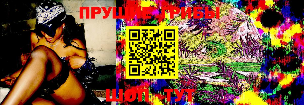 Галлюциногенные грибы Psilocybine cubensis  Вход с VPN  Белая Калитва 